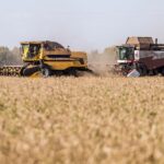 Названы самые урожайные районы Новосибирской области по итогам уборочной-2026