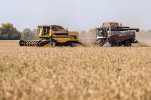 Названы самые урожайные районы Новосибирской области по итогам уборочной-2026